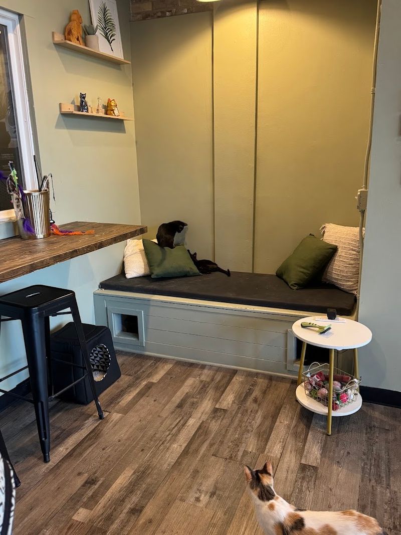 A Cozy, Clean Space That Feels Like a Second Home