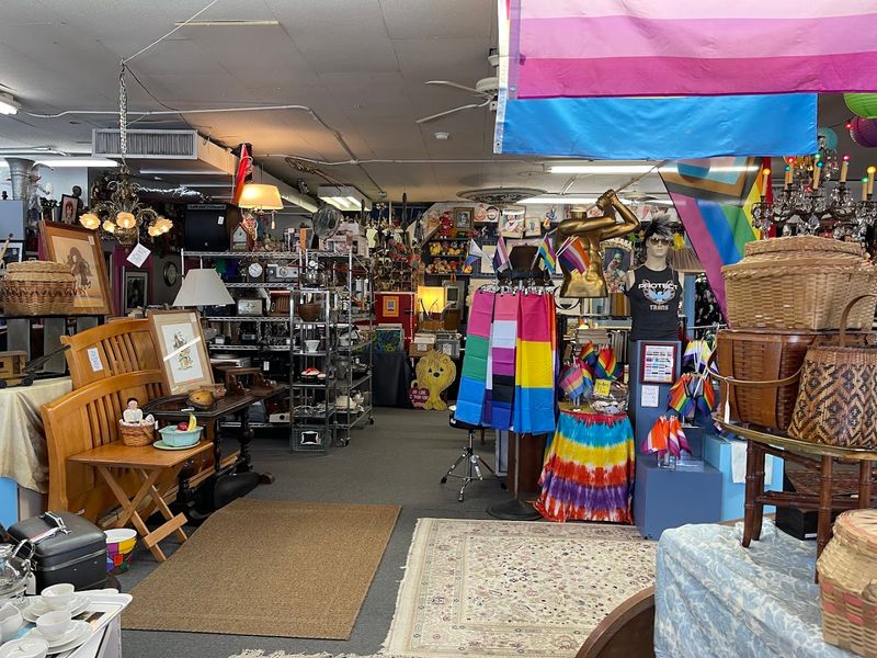 A Curated Selection That Puts Other Thrift Stores To Shame A Curated Selection That Puts Other Thrift Stores To Shame
