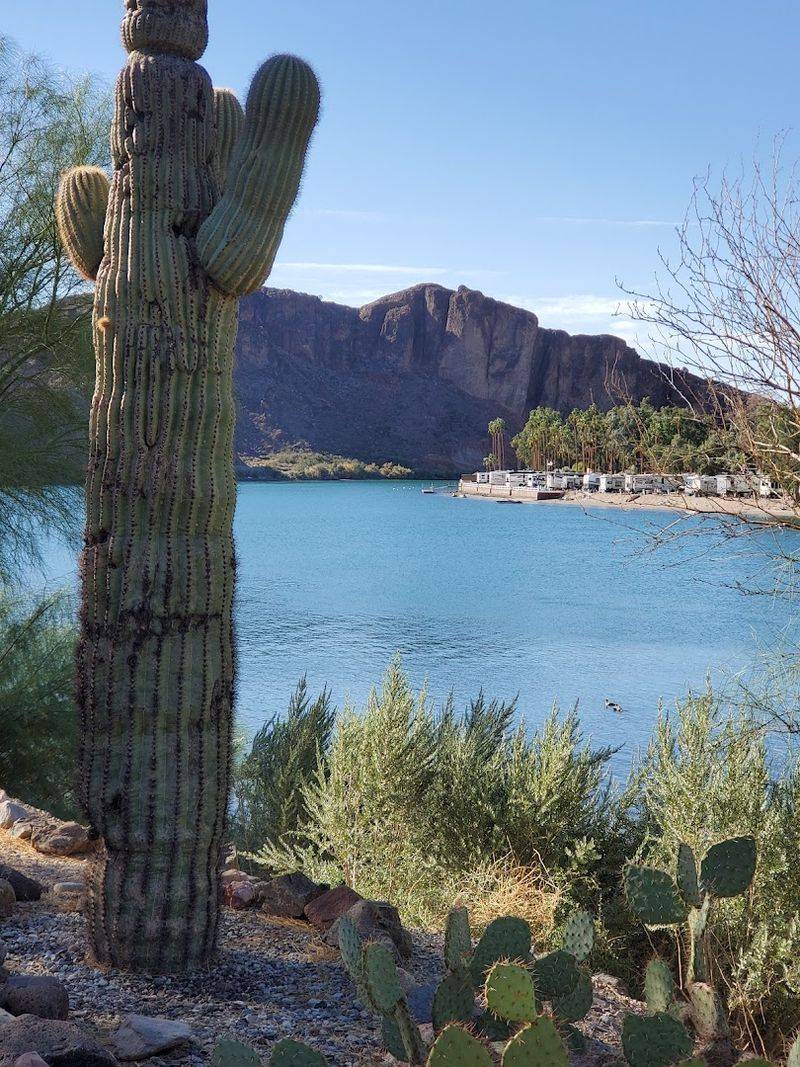 A Desert Garden and Cactus Walk Worth Every Step
