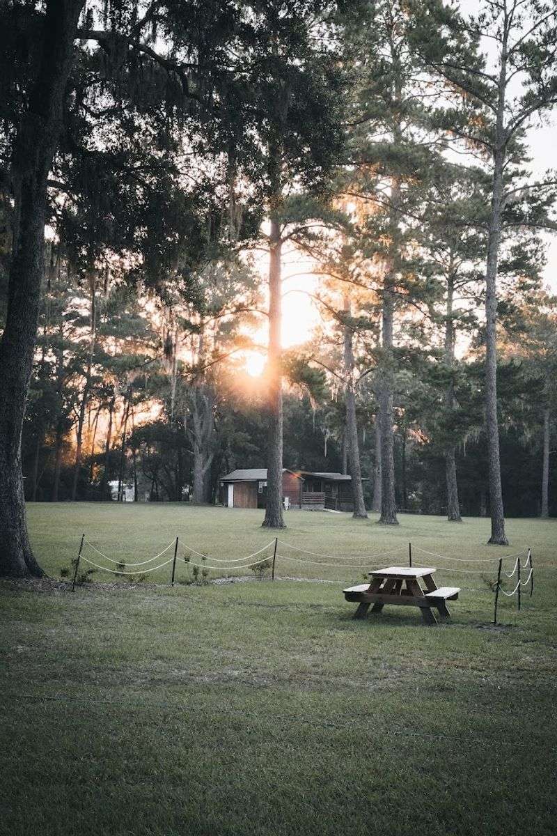 A Disc Golf Course Adds Unexpected Fun on Land A Disc Golf Course Adds Unexpected Fun on Land