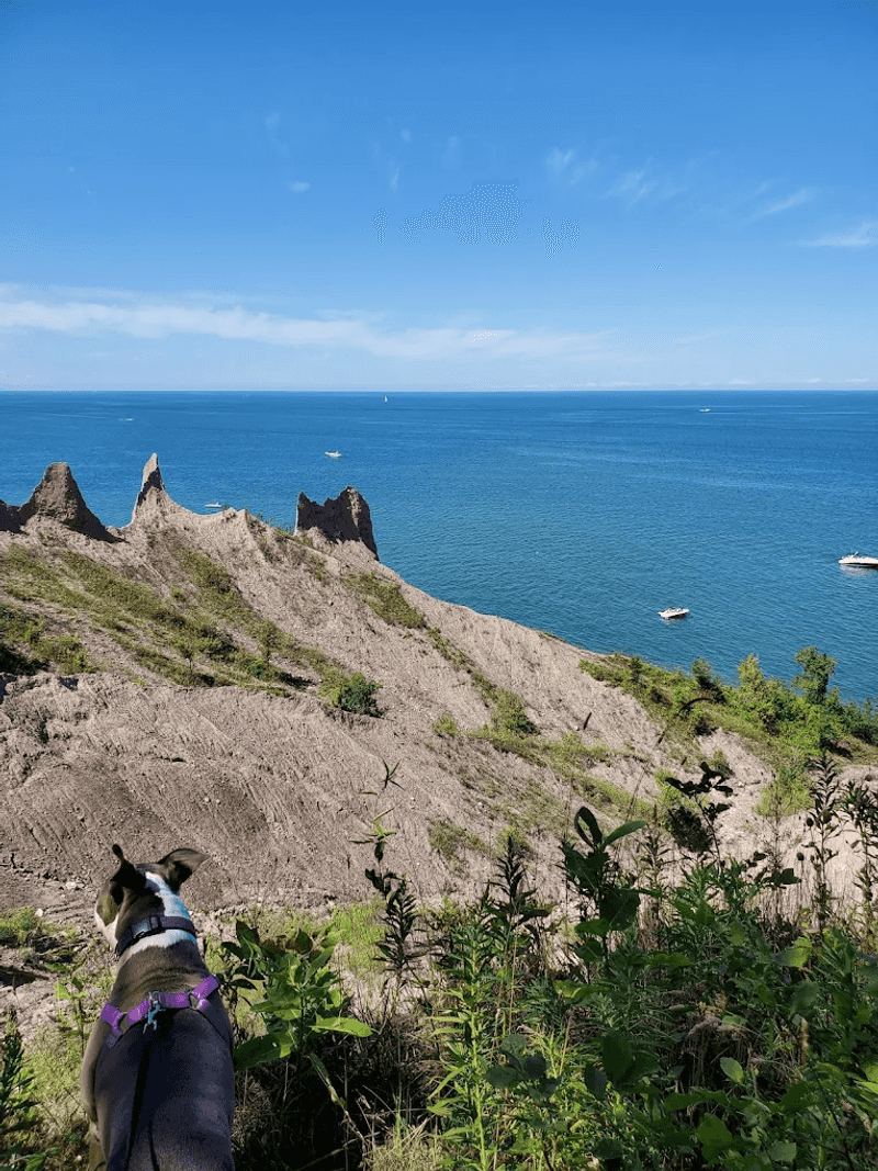 A Dog-Friendly Adventure Worth Wagging About A Dog-Friendly Adventure Worth Wagging About