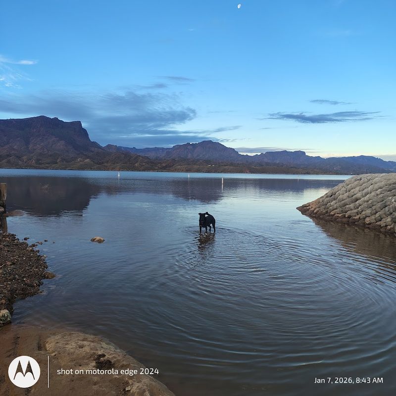 A Dog-Friendly Park With Its Own Pet Beach