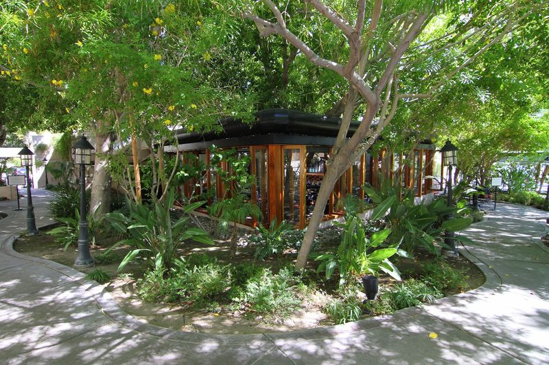 A Dog-Friendly Patio That Welcomes Four-Legged Guests A Dog-Friendly Patio That Welcomes Four-Legged Guests