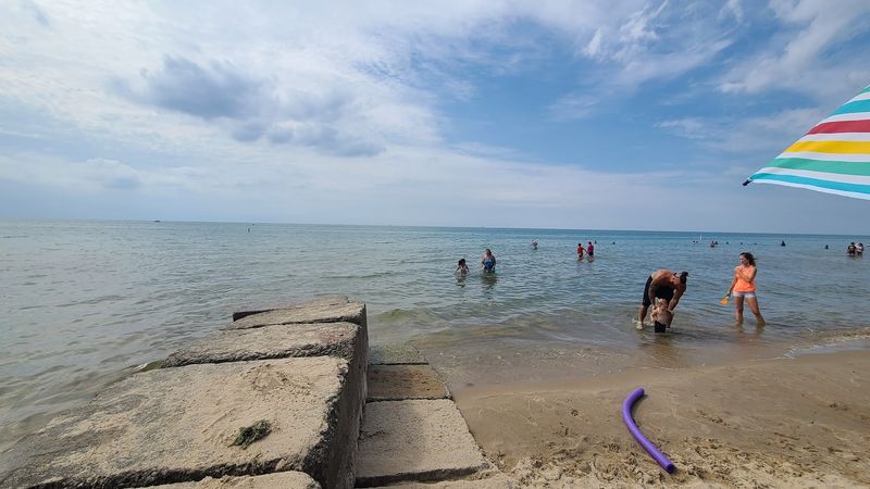 A Dog-Friendly Section That Tail-Waggers Love