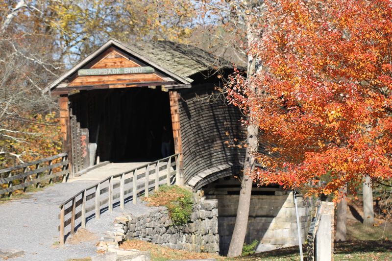 A Dream Location for Photography Enthusiasts