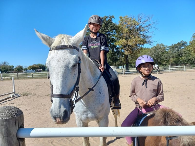 A Family-Friendly Adventure Worth Every Penny