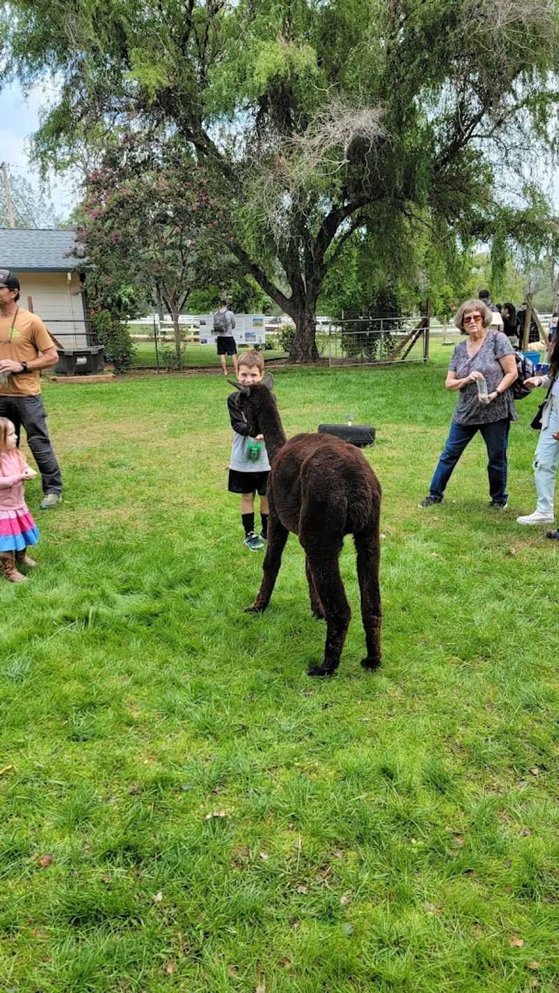 A Farm Tour That Teaches and Delights