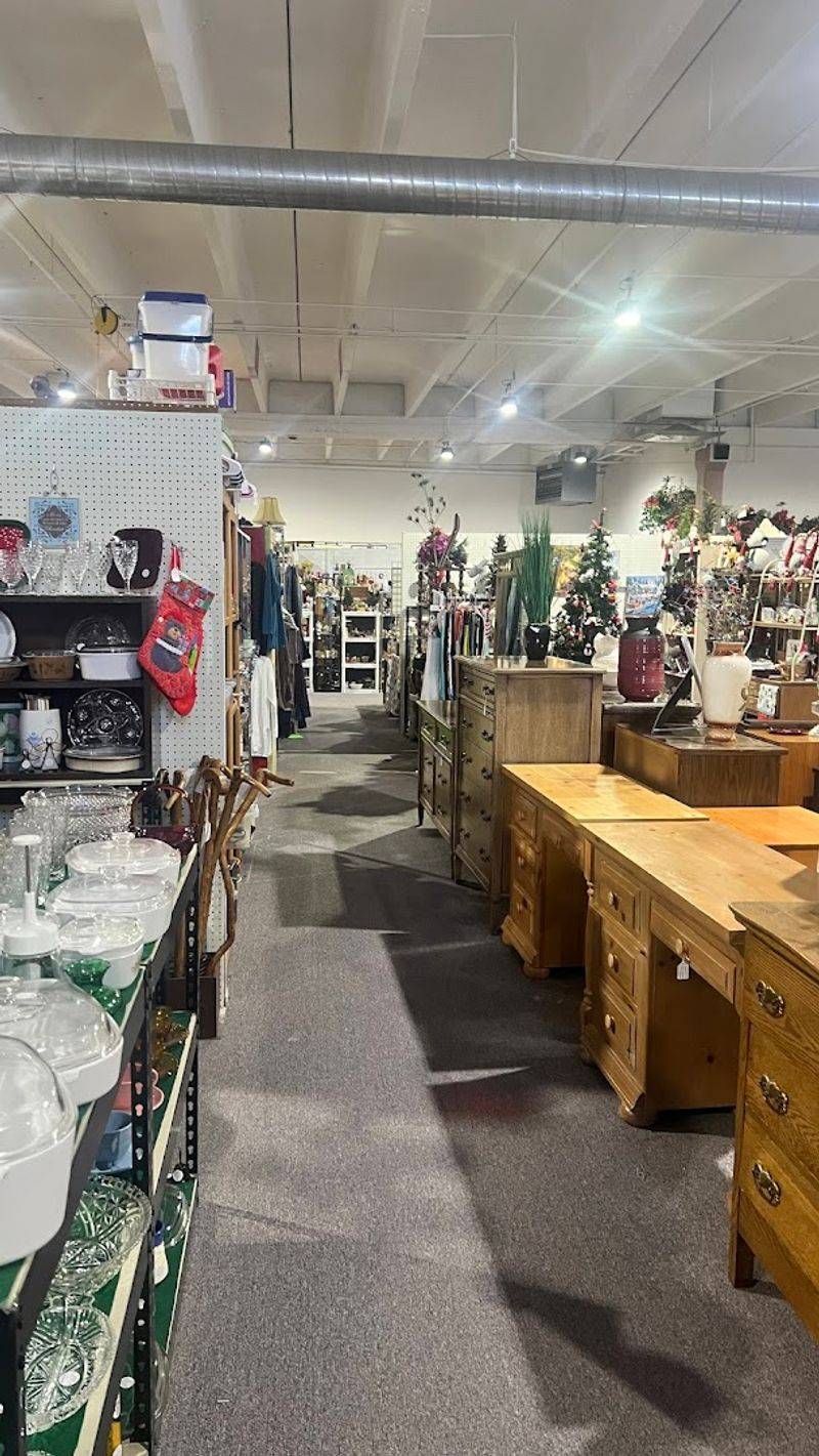 A Favorite Spot for Gift Hunters A Favorite Spot for Gift Hunters