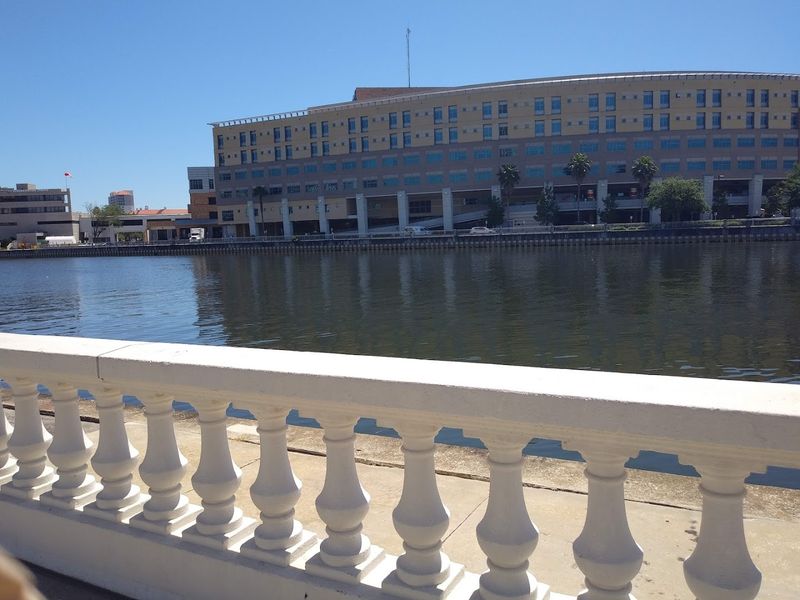 A Front-Row Seat to Tampa's Skyline
