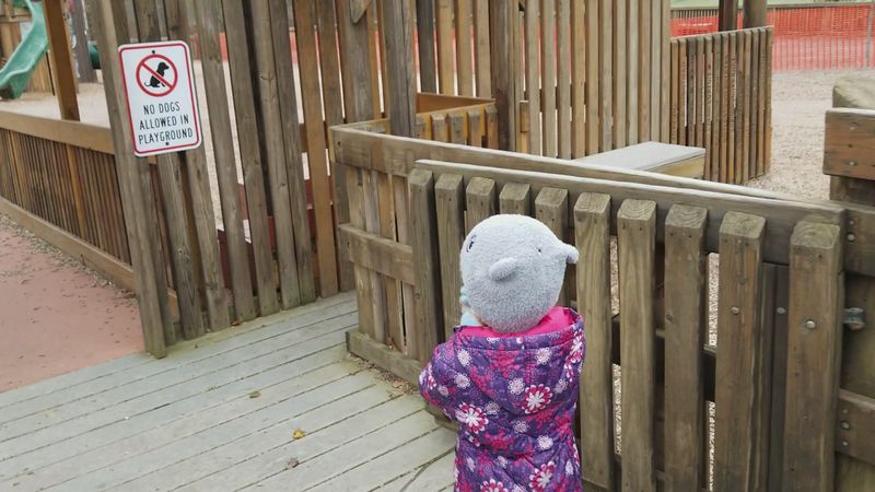 A Fully Fenced Playground for Peace of Mind A Fully Fenced Playground for Peace of Mind