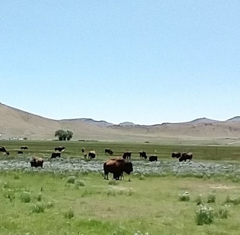 A Gateway to Exploring the Entire San Luis Valley
