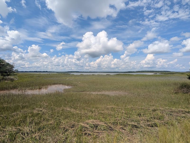 A Hidden Coastal Gem Worth Telling Everyone About