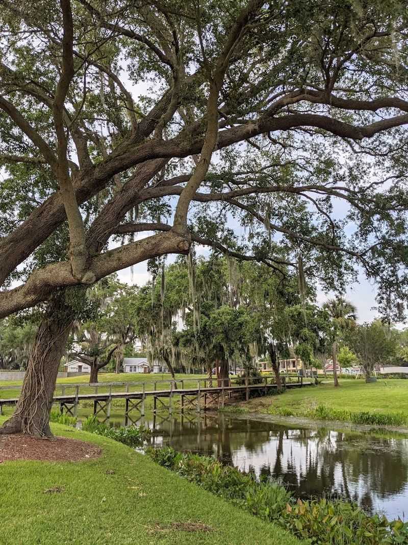 A Hidden Gem That Surprises Even the Locals