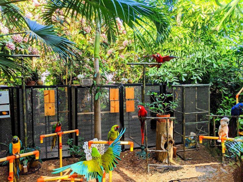 A Hidden Gem Tucked in Key West's Backyard