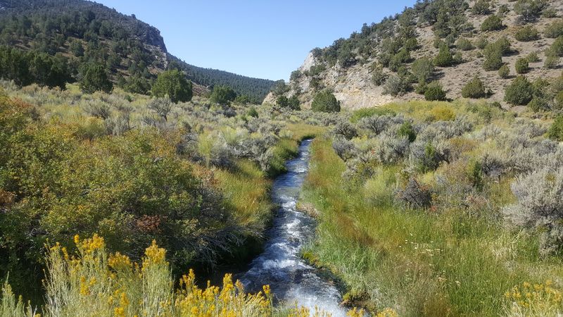 A Hidden Gem Worth Telling Your Friends About