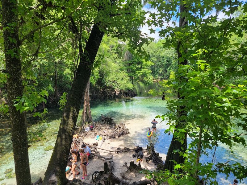 A Hidden Gem Worth the Drive A Hidden Gem Worth the Drive
