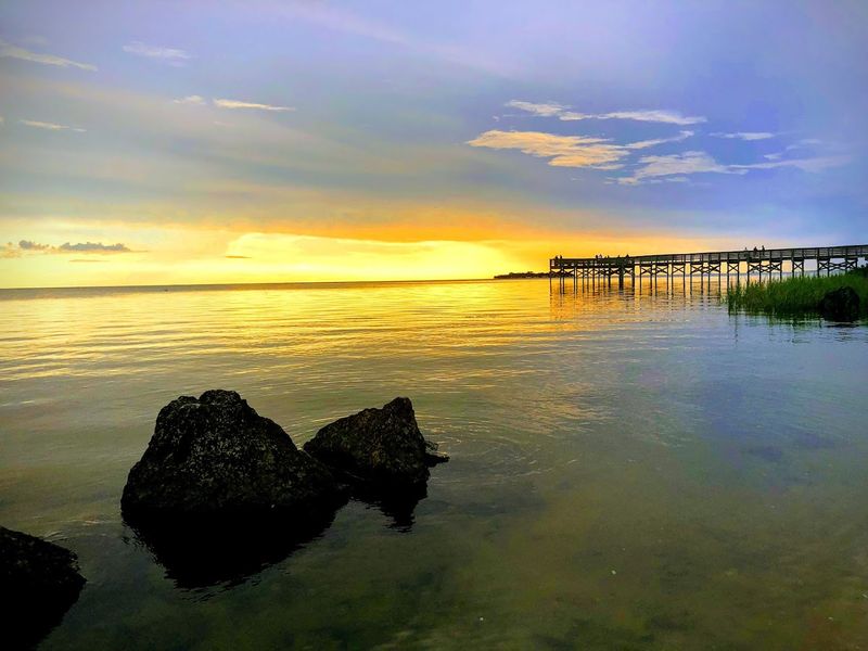 A Hidden Gem on Florida's Underrated Nature Coast A Hidden Gem on Florida's Underrated Nature Coast