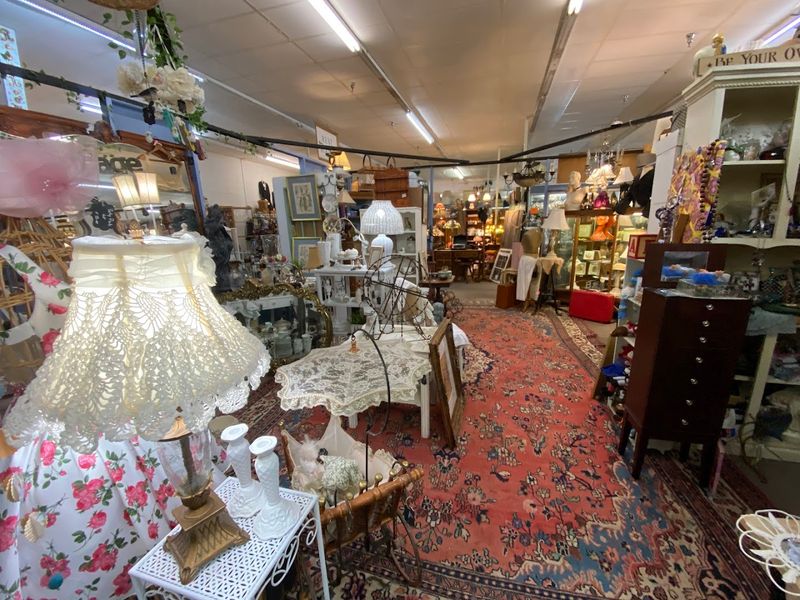 A Jaw-Dropping Collection That Feels Like a Museum A Jaw-Dropping Collection That Feels Like a Museum