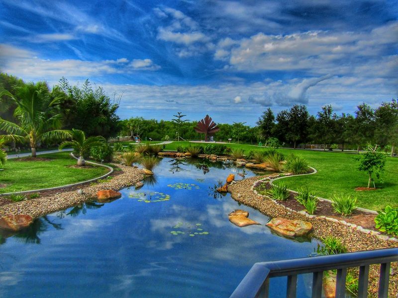 A Koi Fish Pond That Brings Out the Wonder in Everyone