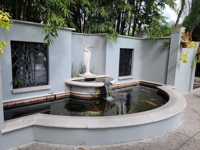 A Koi Pond That Delights Visitors of All Ages