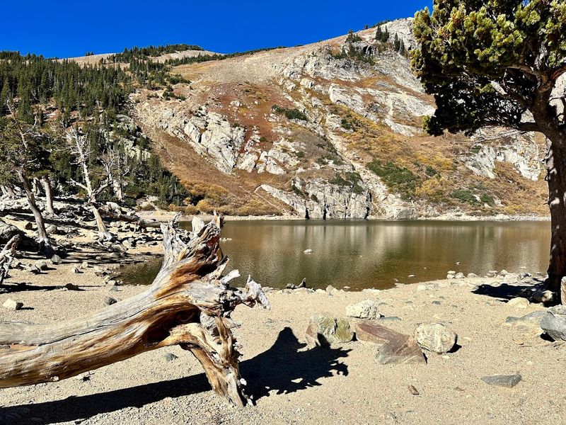 A Lake So Gorgeous It Looks Like a Bob Ross Painting A Lake So Gorgeous It Looks Like a Bob Ross Painting