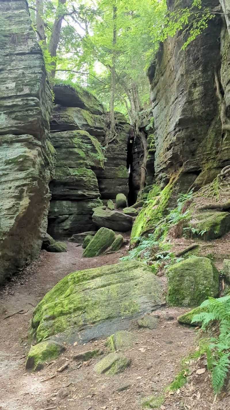 A Legendary Scavenger Hunt With a Buried Gold Mystery