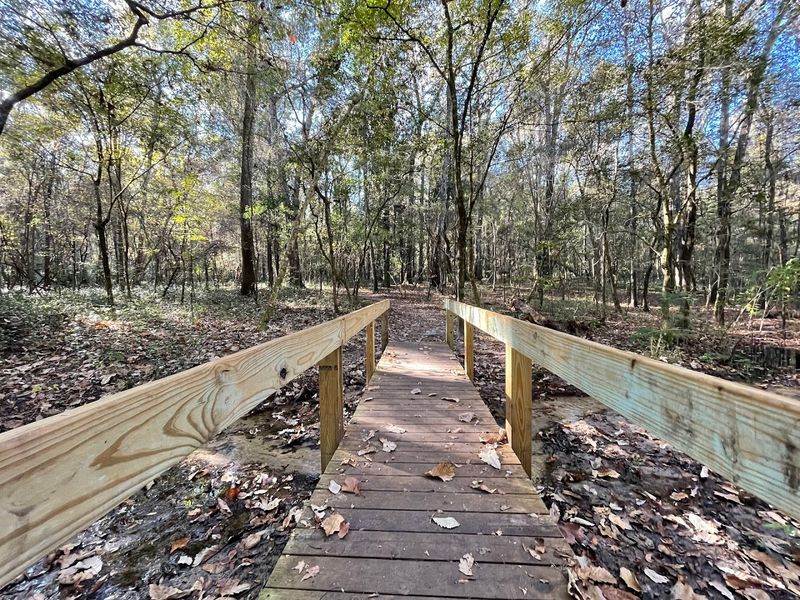 A Magical Escape Just Minutes From Gainesville A Magical Escape Just Minutes From Gainesville