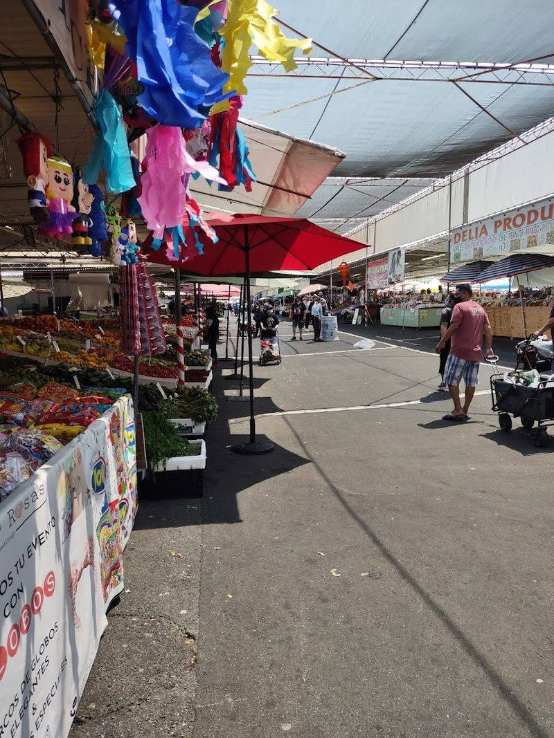 A Market So Big, You Cannot See It All in One Visit
