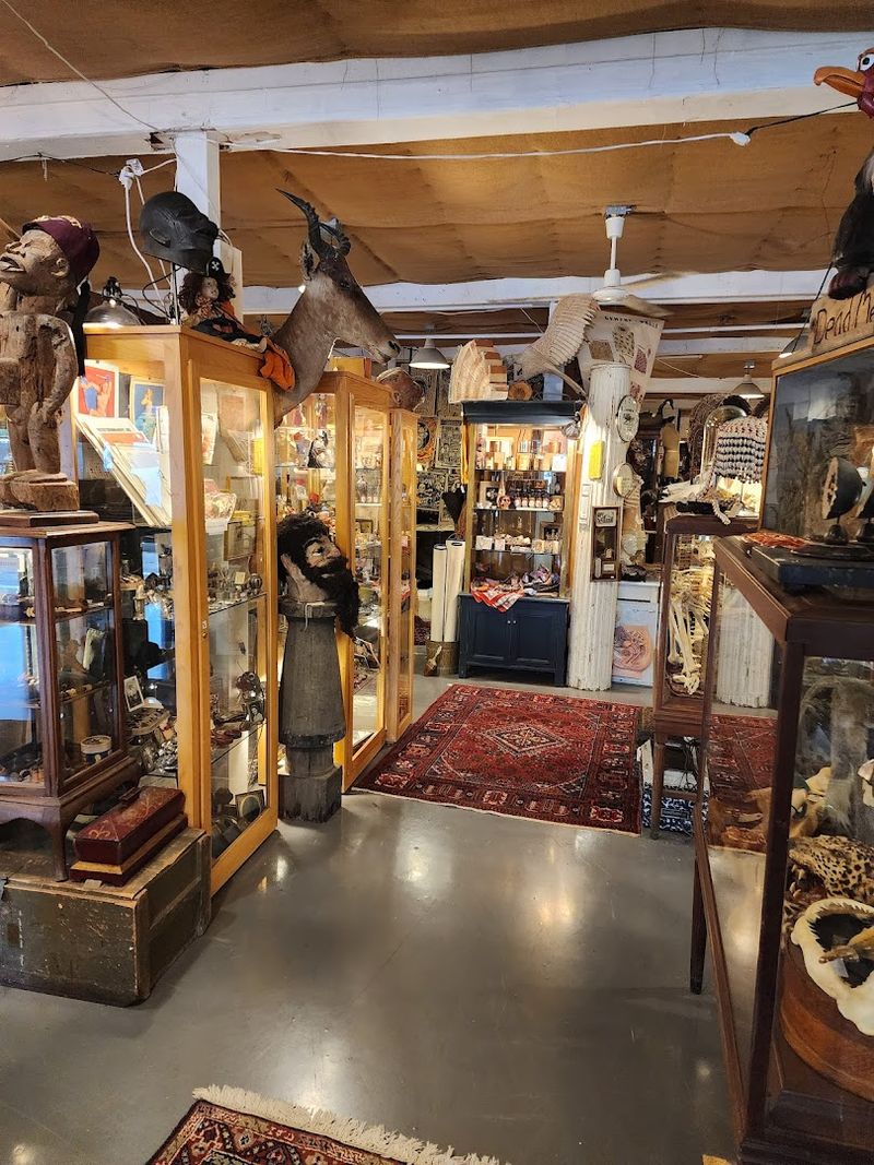 A Maze of Rooms Packed With Unexpected Finds