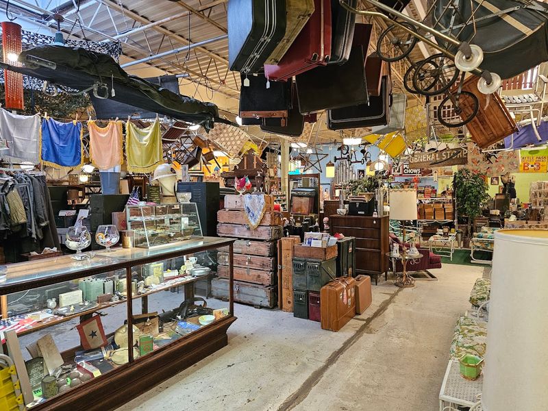 A Museum-Like Shopping Experience Unlike Any Other