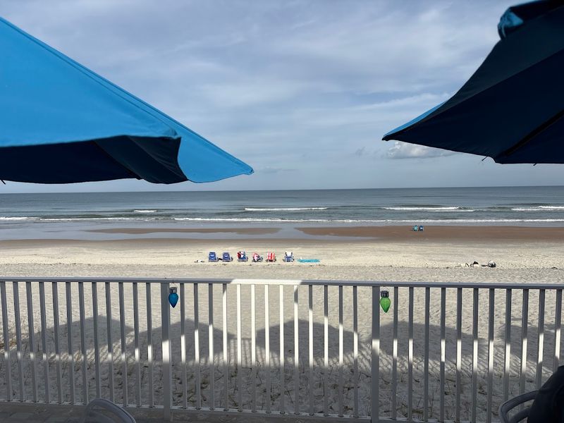 A Must-Visit Spot Near Daytona Beach with Year-Round Appeal