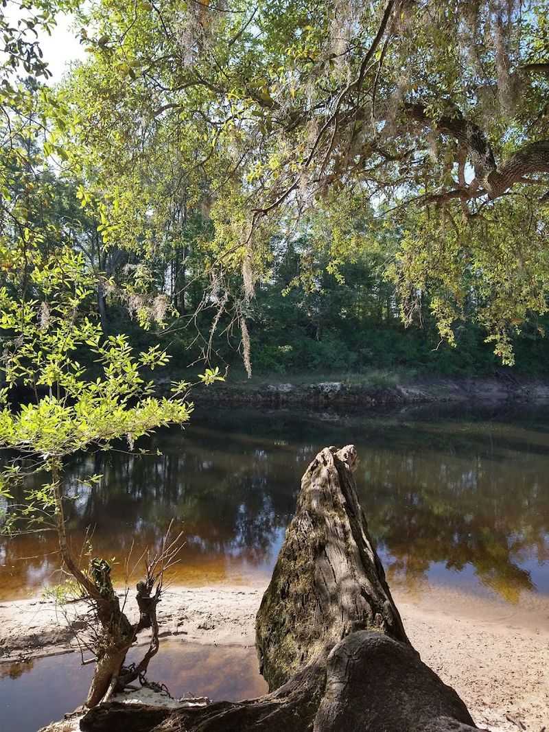 A Nature Trail Leading to a Sandy River Beach A Nature Trail Leading to a Sandy River Beach