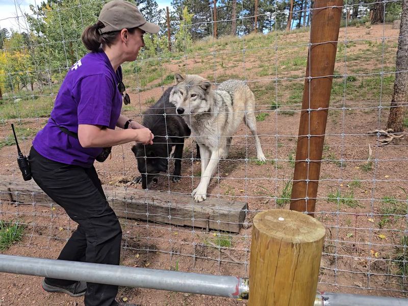 A Nonprofit Sanctuary With a Powerful Mission
