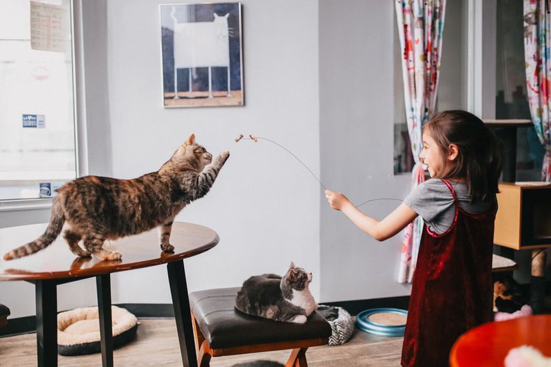 A Nonprofit With a Heartwarming Mission