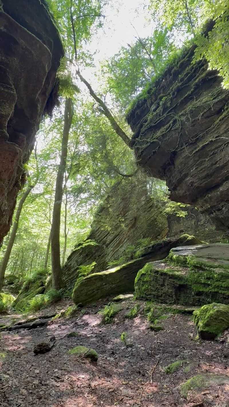 A One-Mile Trail That Packs in Maximum Adventure