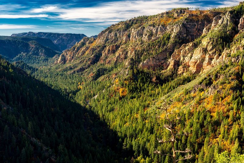 A Panoramic Canyon View That Photographers Dream About