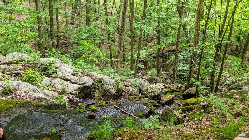 A Park That Stays Under the Radar While Harriman Gets All the Crowds