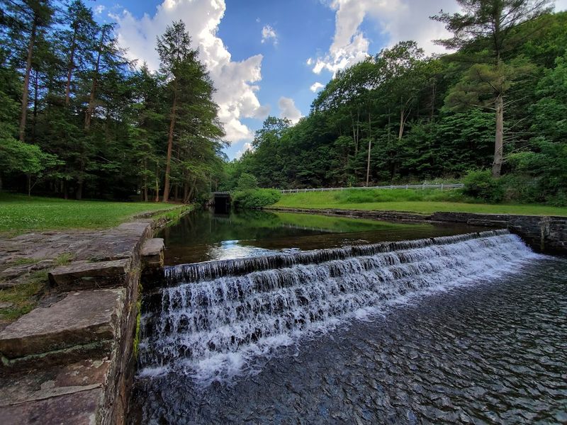 A Peaceful Creek That Practically Begs You to Kick Off Your Shoes
