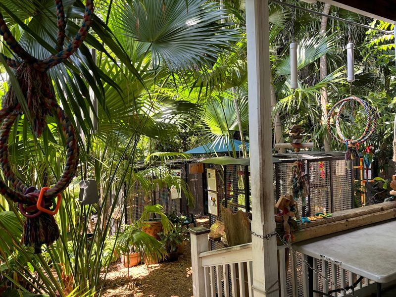 A Peaceful Escape From the Busy Key West Scene