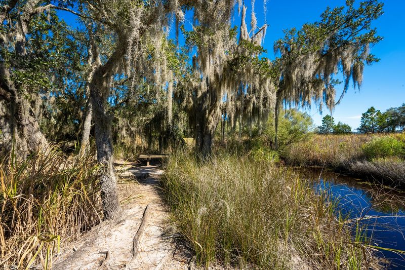 A Peaceful Escape Just Minutes From Charleston