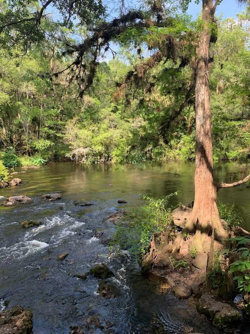 A Peaceful Escape That Feels Miles Away From Tampa