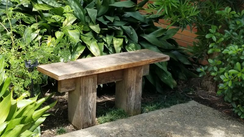 A Peaceful Escape That Is Great for Mental Well-Being