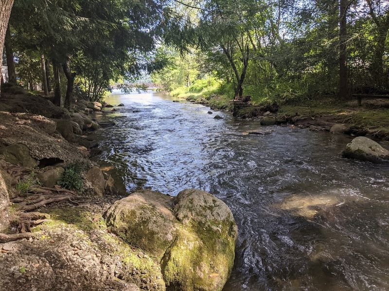 A Peaceful Escape With Zero Phone Reception and Maximum Relaxation