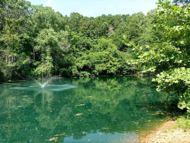 A Peaceful Pond at the Heart of the Park