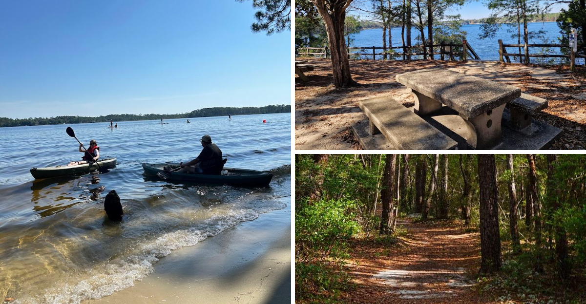 A Peaceful Waterfront Picnic Awaits At This Hidden Gem Inside A Florida State Park