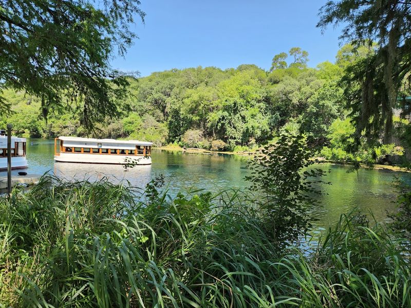 A Perfect Destination for Families With Children
