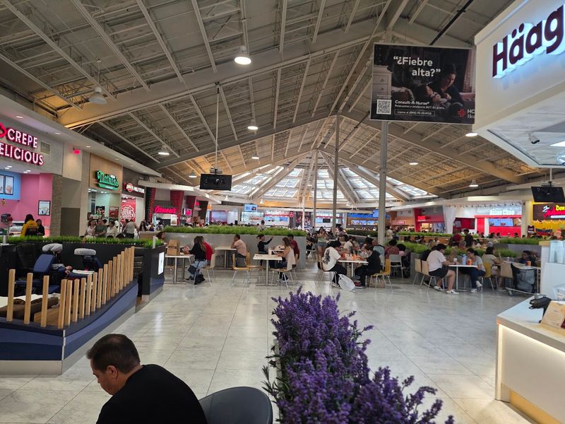A Perfect Full-Day Outing for Families and Groups