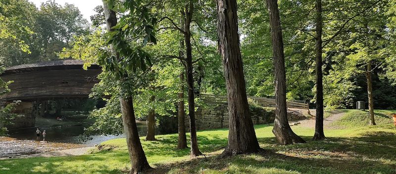 A Perfect Picnic Destination