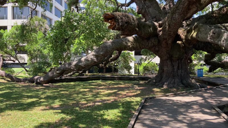 A Perfect Picnic Spot in the Heart of the City A Perfect Picnic Spot in the Heart of the City