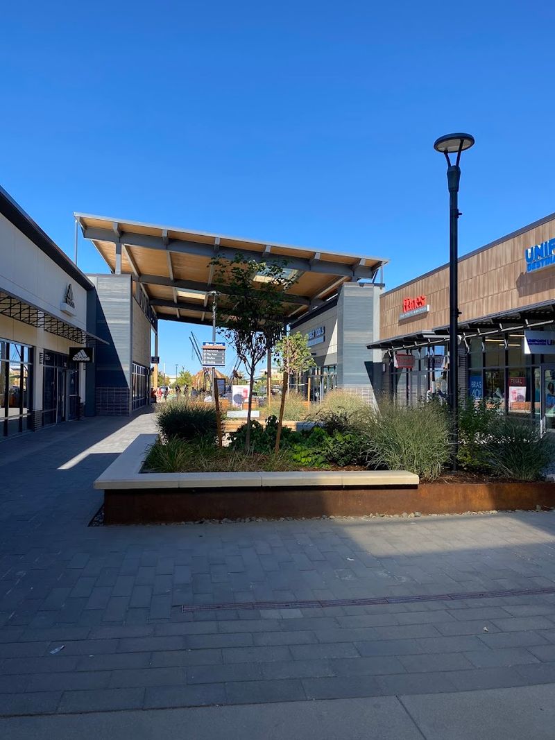 A Pet-Friendly Environment That Welcomes Four-Legged Shoppers